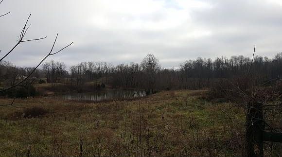 2nd image of 16210 McGuire Ridge Rd