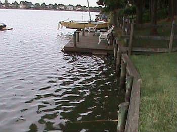 4th image of 1229 Belvoir Ln