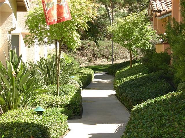 Tree lined path