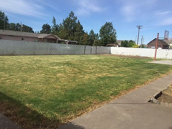 Back yard from back door