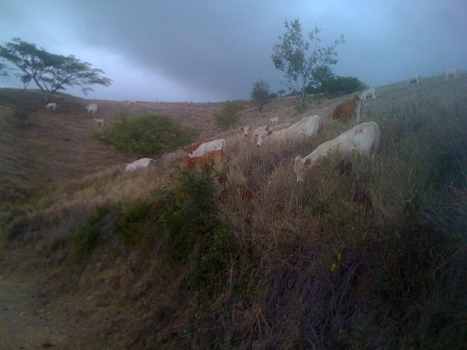 2nd image of Pr-545 Km. 2.0 Interior Bo. Emajagua
