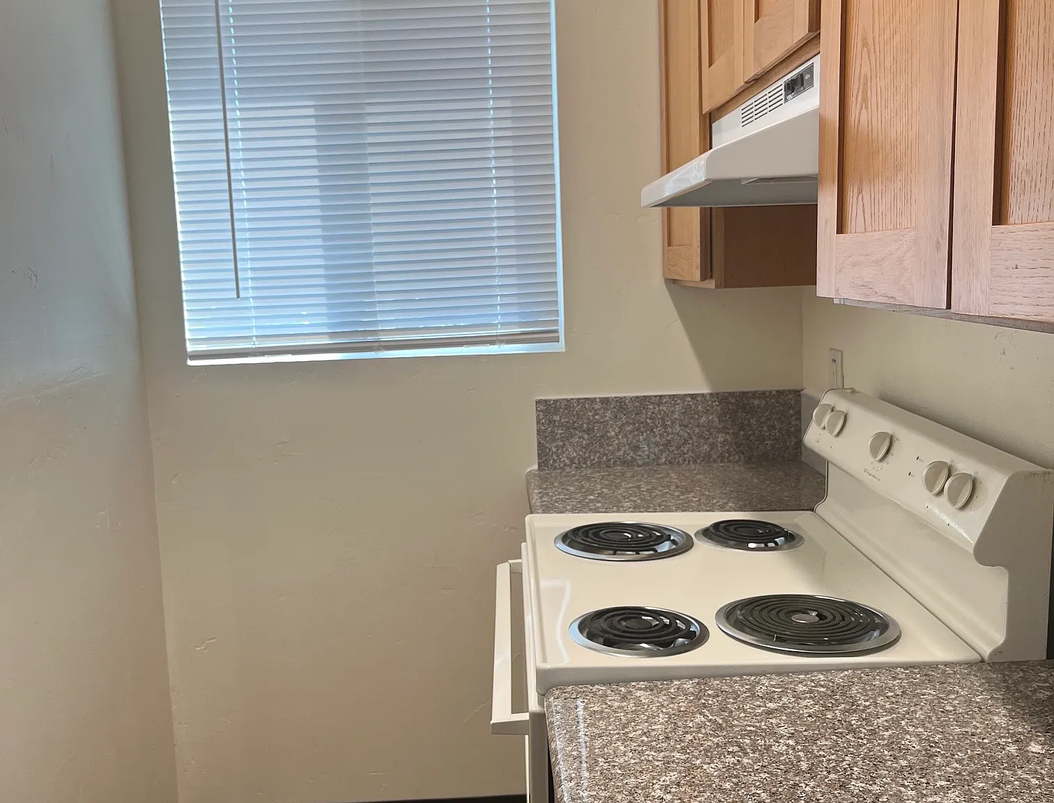 Studio, 450 sqft, $1,195 — Photo 2