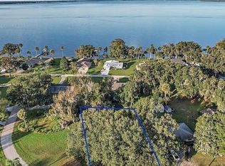 Spring Dr, Yalaha, FL 34797