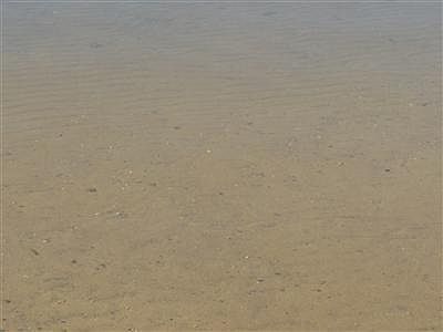 2nd image of Camel Bay Dr
