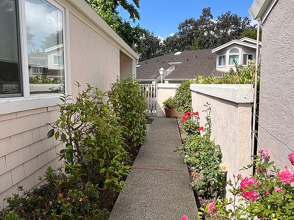 Side yard