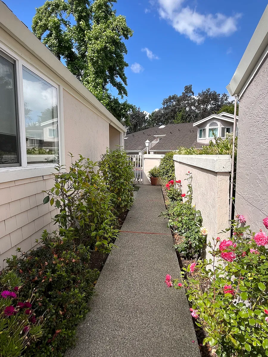 Side yard - Matterhorn Dr