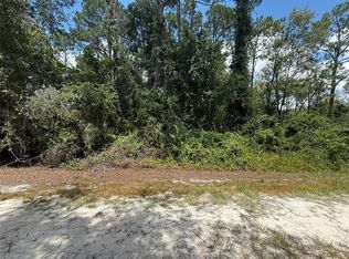 322 Palm Way Lot 32, Georgetown, FL 32139
