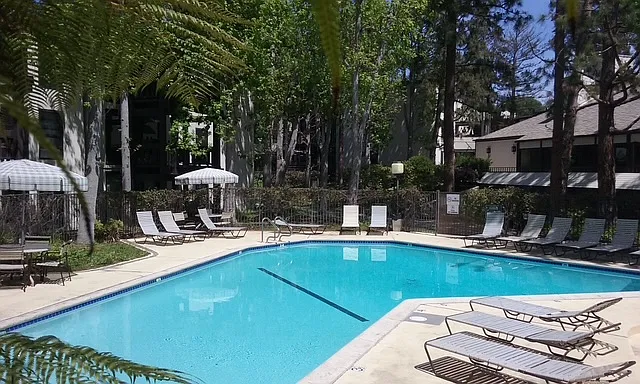 3 bed, 1228 sqft, $3,895 — Photo 2