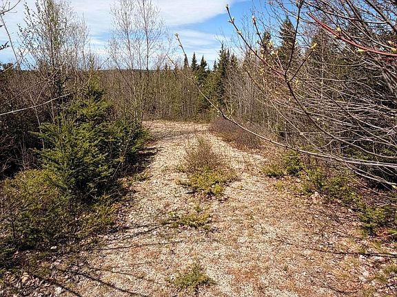 2nd image of 76 Morancy Road