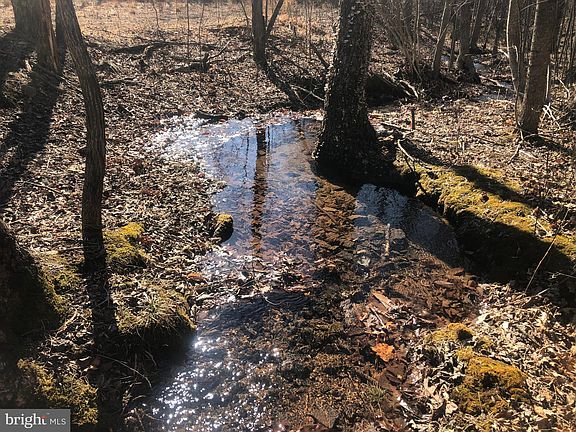 4th image of 176 Ashton Woods Dr