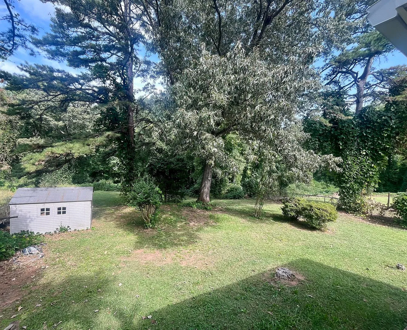 House for Rent In Clemson — Photo 3