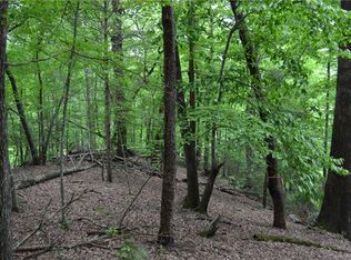 0 Boys Camp Rd, Lake Lure, NC 28746