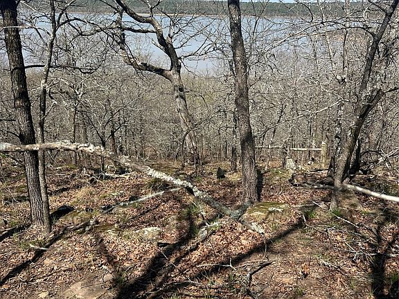 4th image of 1 E Freds Fish Camp Rd