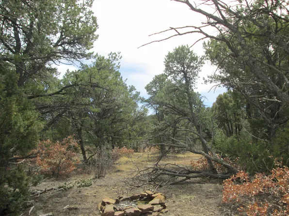 18019 Cougar Ct Lot N-13a, Trinidad, CO 81082