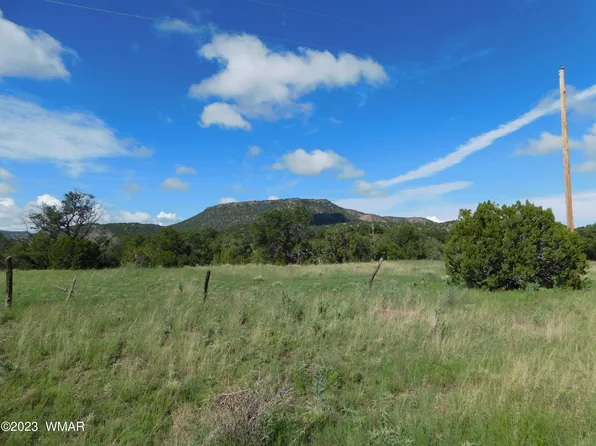 24 & 26 County Road 4128, Eagar, AZ 85925