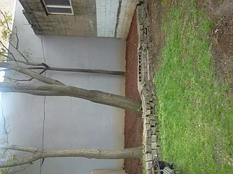 Rented by Real True Group