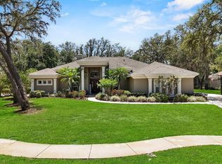 6007 Hammock Hill Ave, Lithia, FL 33547