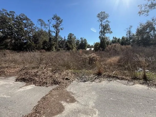 NE 17th Ave Lot 6, Trenton, FL 32693