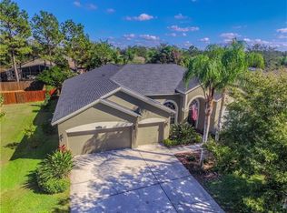 15205 Arbor Hollow Dr, Odessa, FL 33556