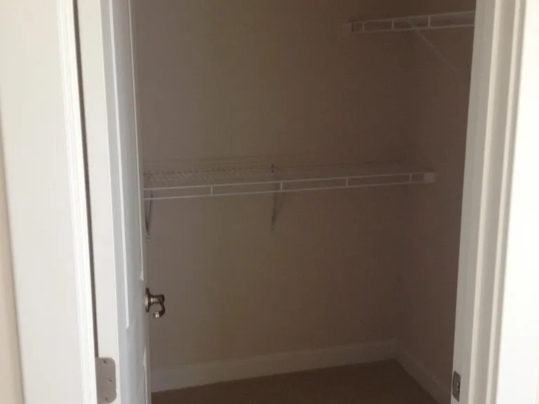Primary Bedroom Walk-In Closet #2