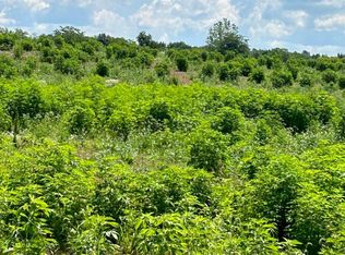 0 Shoemaker Rd LOT 2, Circleville, OH 43113