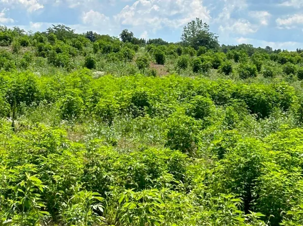 0 Shoemaker Rd Lot 2, Circleville, OH 43113