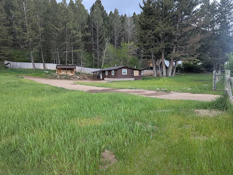Oro Fino Gulch — Photo 19