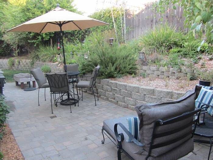 Back yard
