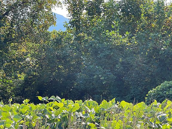 4th image of TRACT 18 Faith Mountain Way