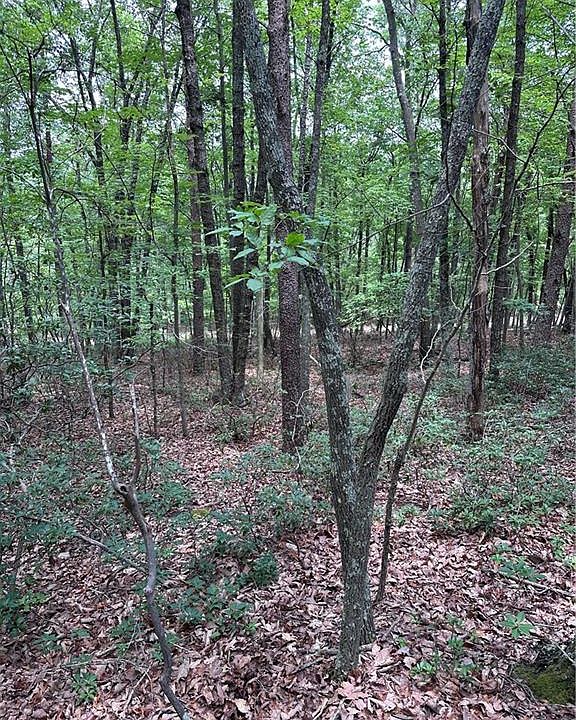 2nd image of 1070 Elm St Lot 17-18