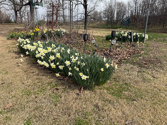 5th image of 316 Clanahan Rd