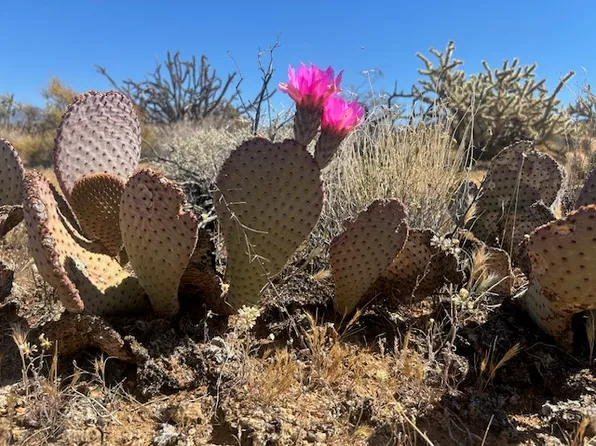 281 S Arapaho Dr, Yucca, AZ 86438