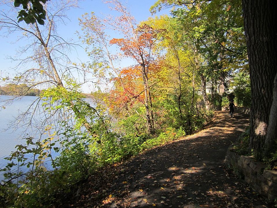 Live with access to private Rice Lake