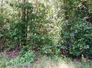 Dan George Rd, Mendenhall, MS 39114