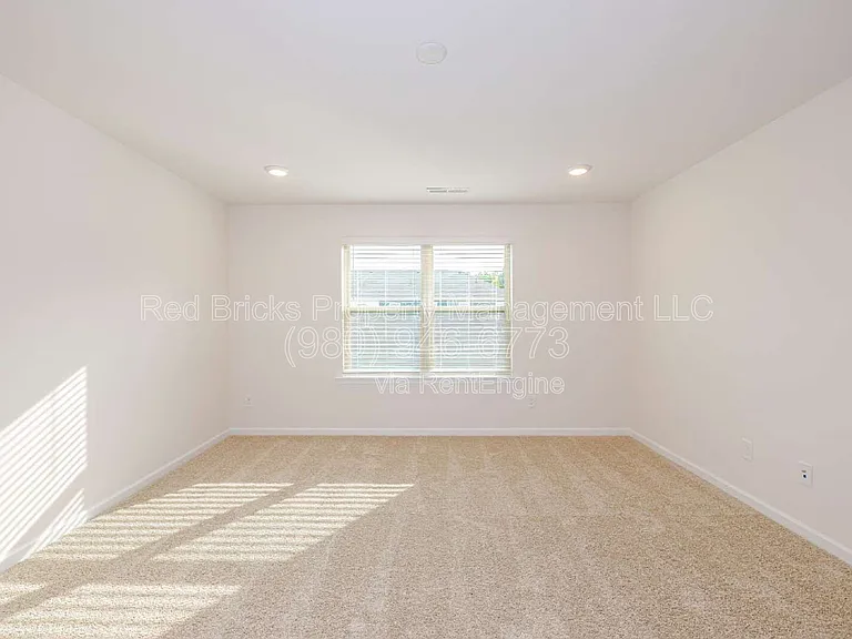 317 Planters Trace Ln — Photo 22