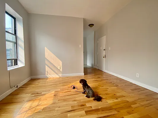 Rented by Compass | media 6