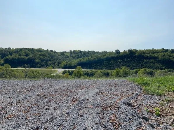 757 Fronks Ln, Brooksville, KY 41004