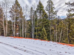 1181 Calcite Dr, Divide, CO 80814