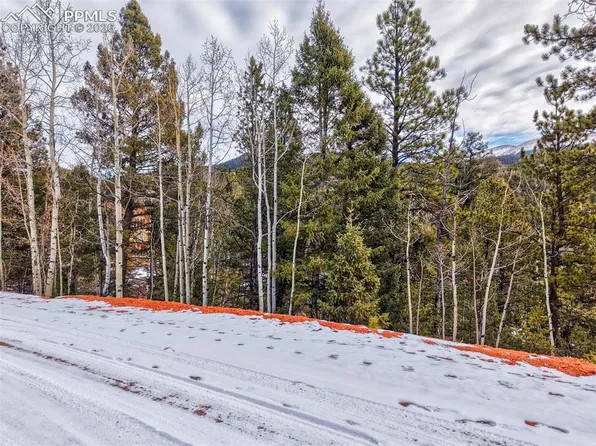 1181 Calcite Dr, Divide, CO 80814