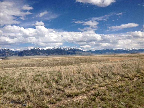 2nd image of 2 Pronghorn