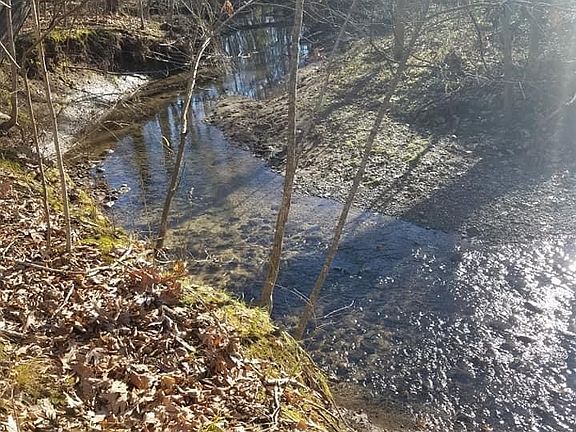 3rd image of 9060 Herring Ln