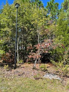 25 Montana Ln LOT 25, Spring Lake, NC, 28390