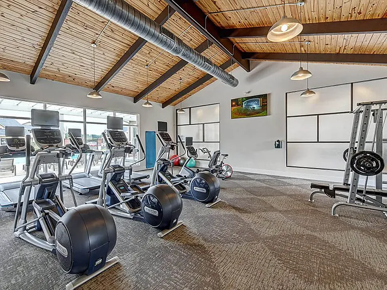 Free Weights