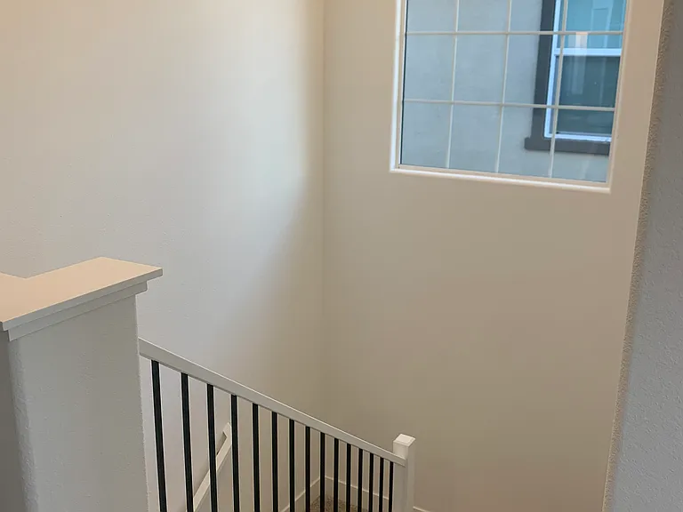 5081 Marshmallow Dr — Photo 30