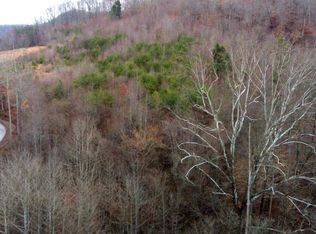 296 King David Ln, Pioneer, TN 37847