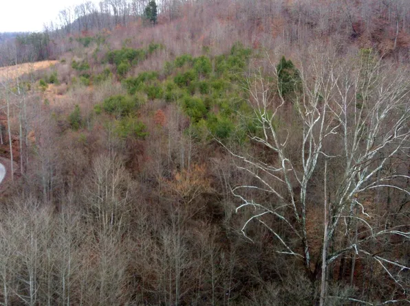 296 King David Ln, Pioneer, TN 37847