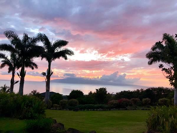VIEW OF LANAI FROM THE HOMES LANAI