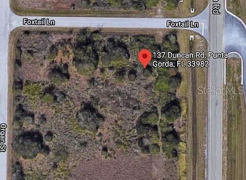 2nd image of 137 Duncan Rd
