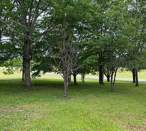 3rd image of 1111 Browning Acres Rd Lot 9