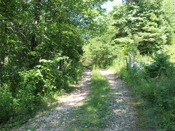 15592 Co Rd Z 554-Pvt Dr-A, Seymour, MO 65746